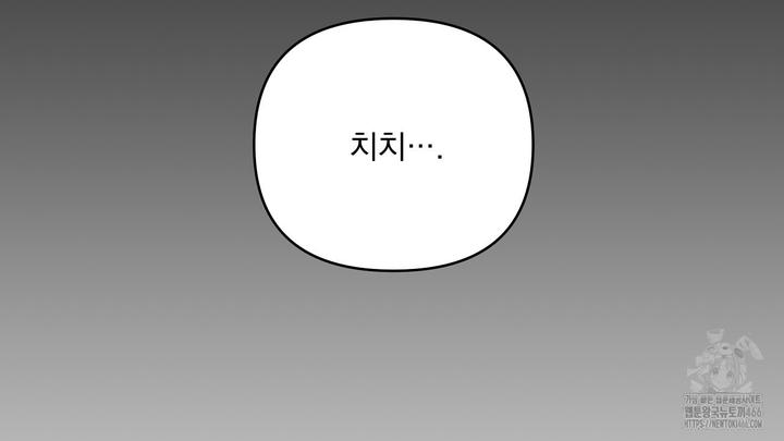 1732155772986zrdlf319cub.jpg