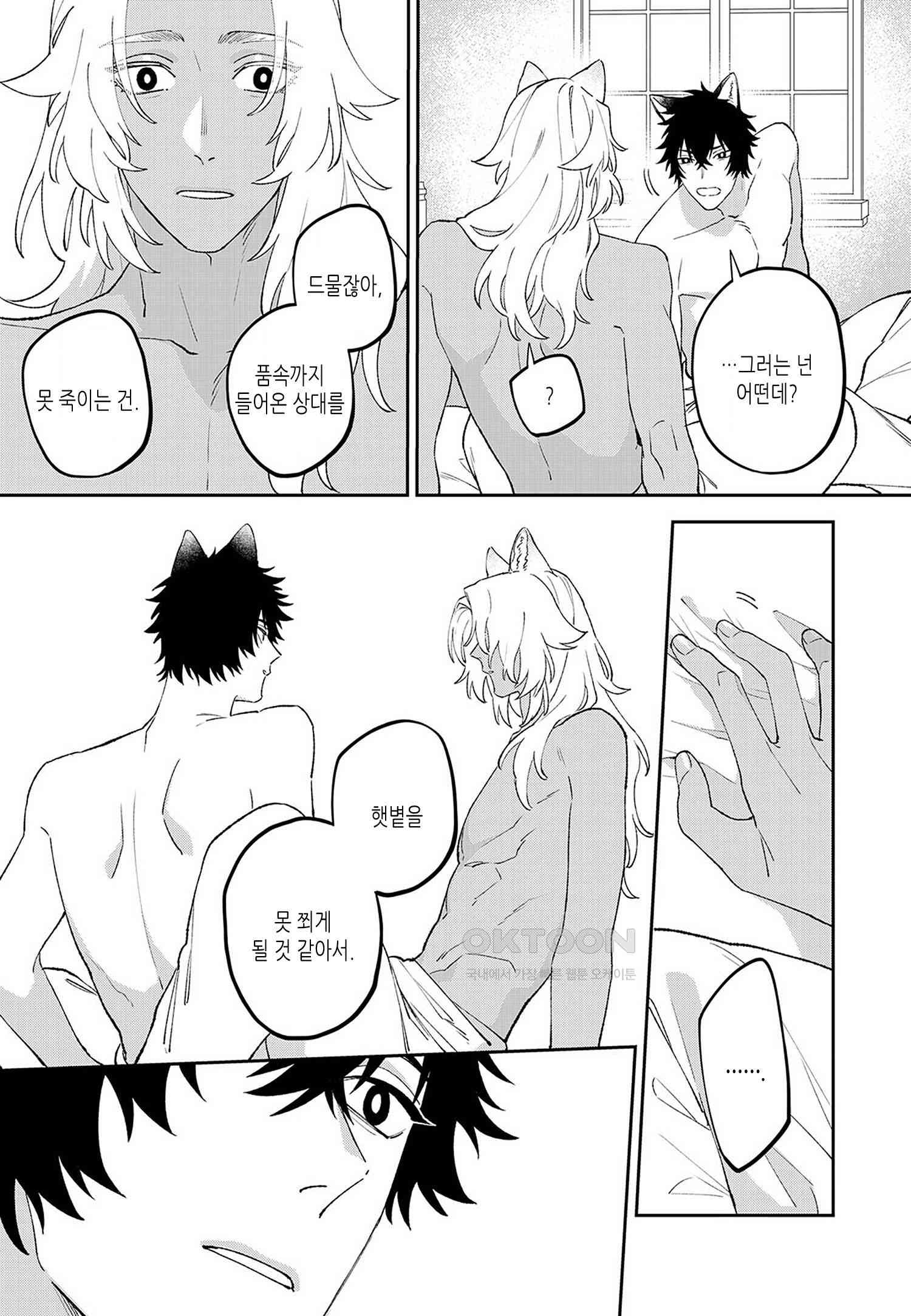 17310354076617utgr1tsila.jpg