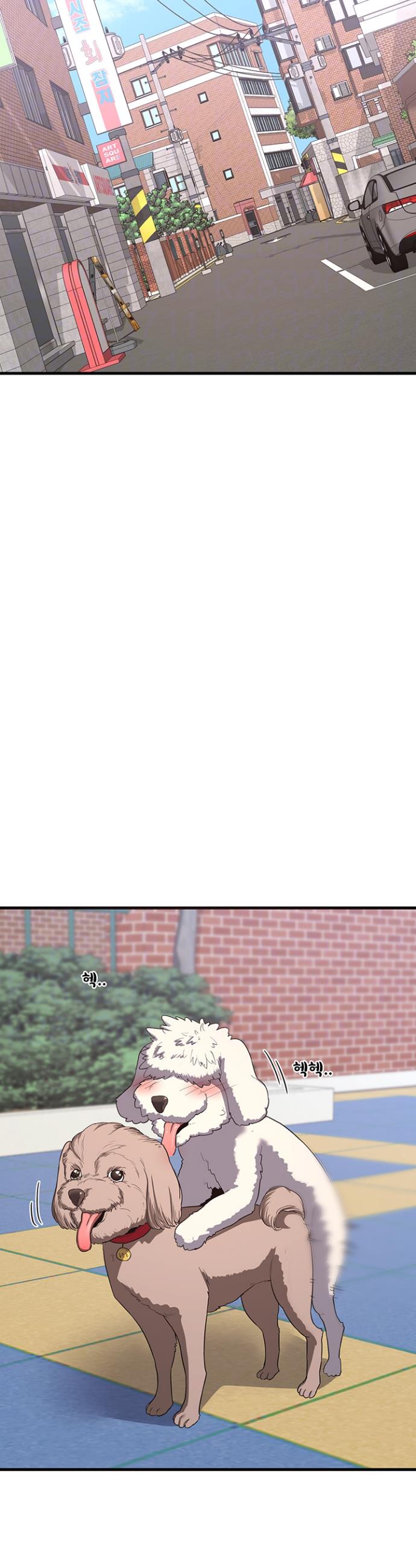 1737693303473lh7ekpp83td.jpg
