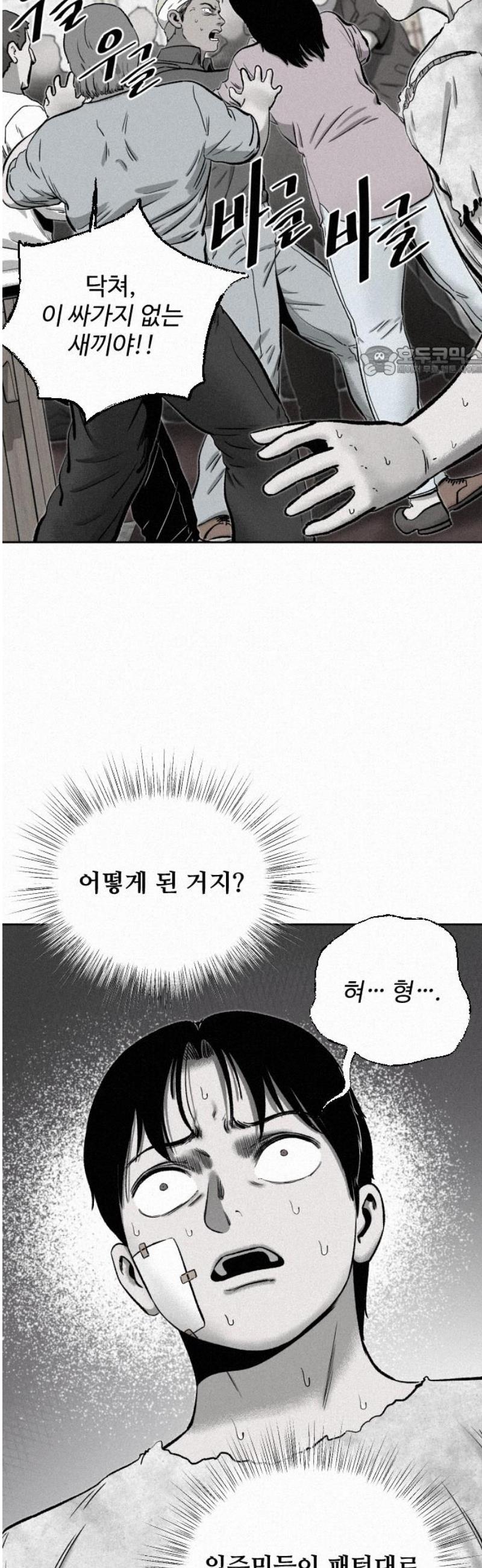 009.jpg