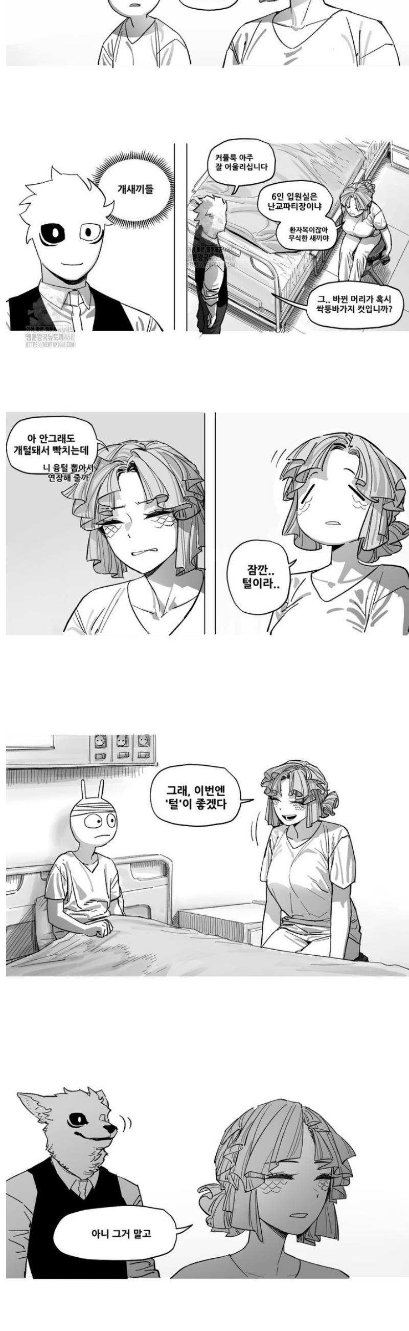 003.jpg