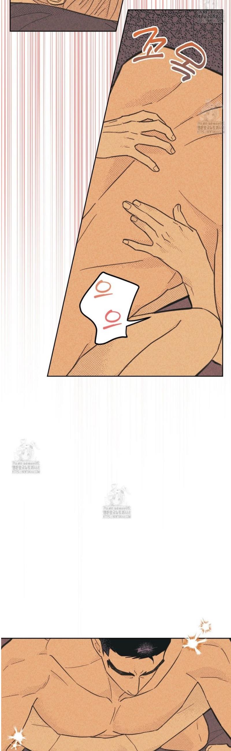 005.jpg