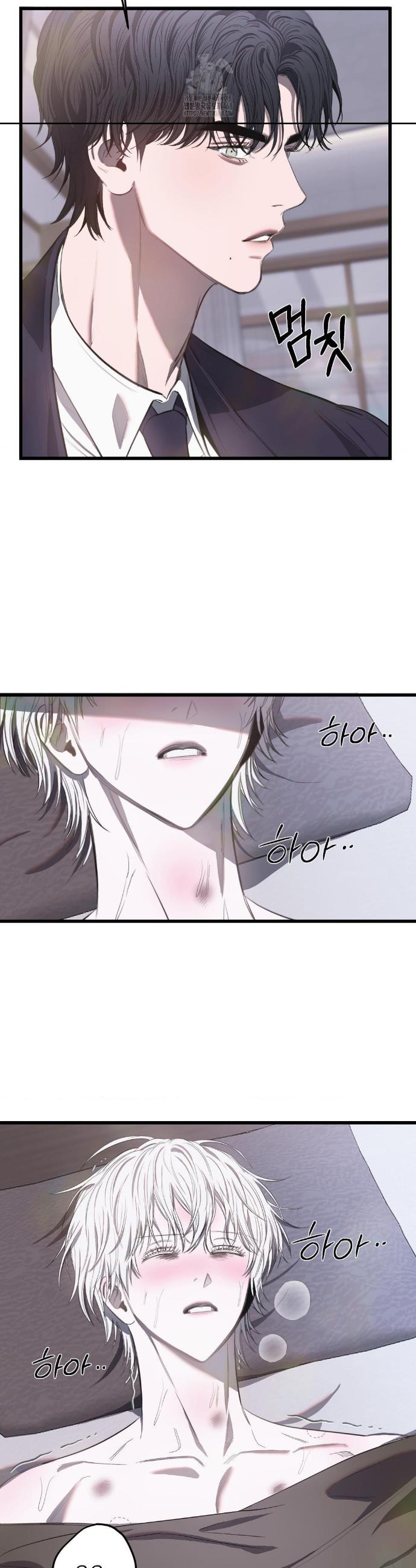 003.jpg