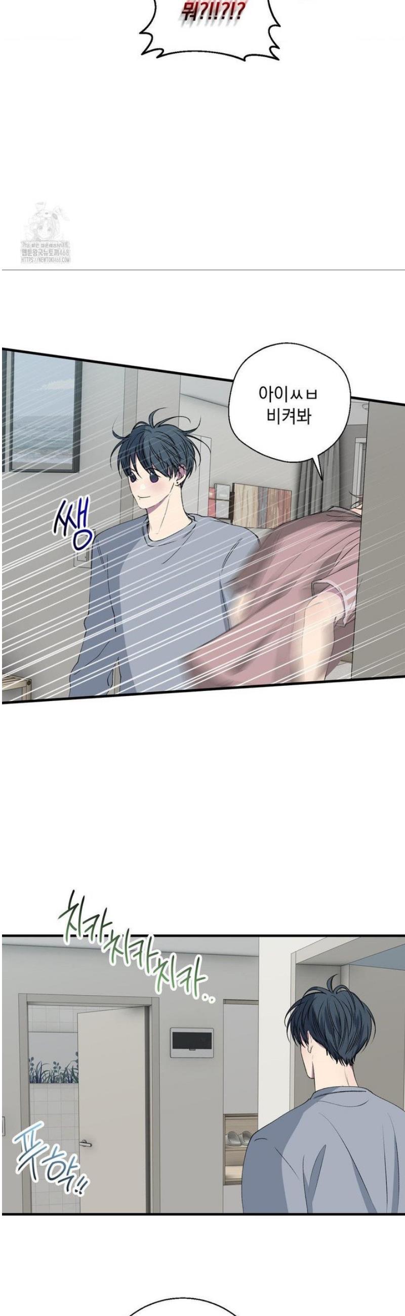 005.jpg
