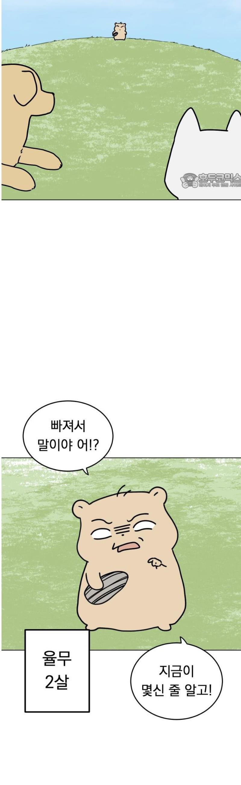 009.jpg
