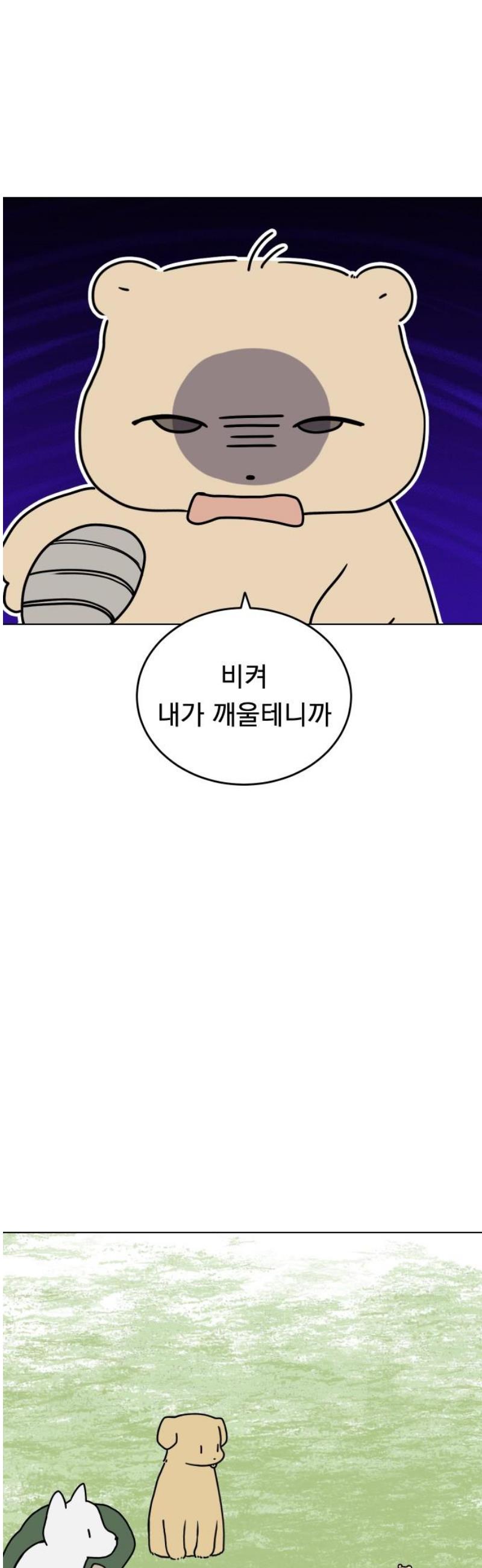 010.jpg