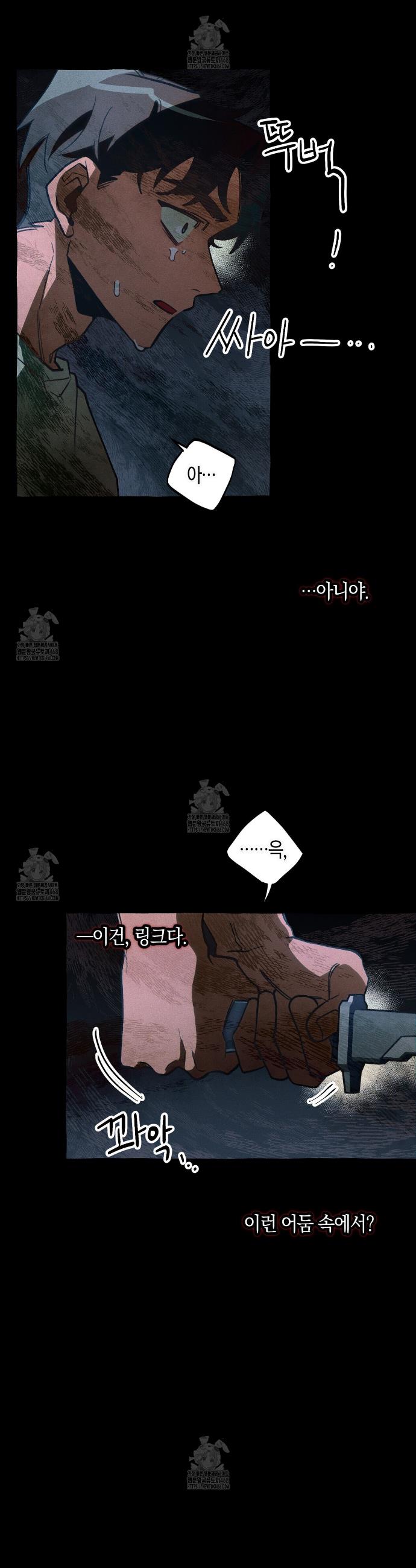 005.jpg
