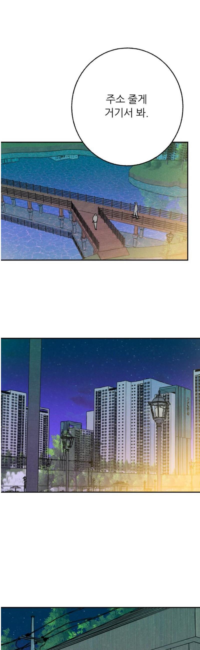 005.jpg