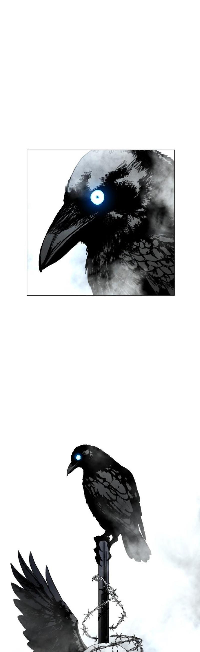 005.jpg
