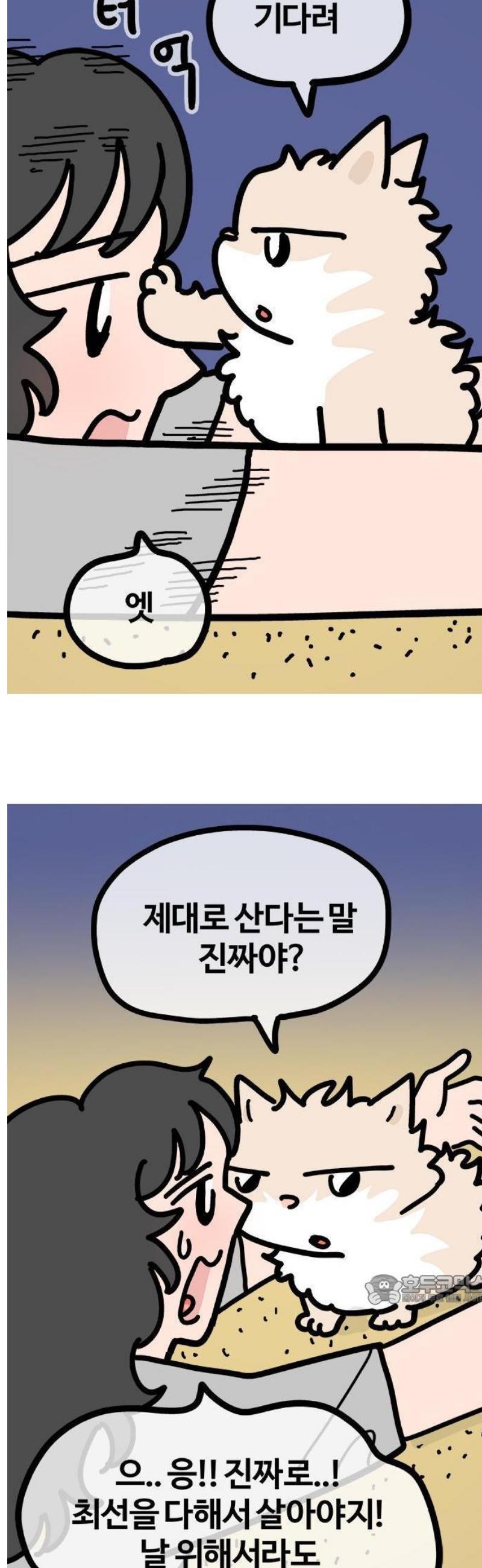 003.jpg