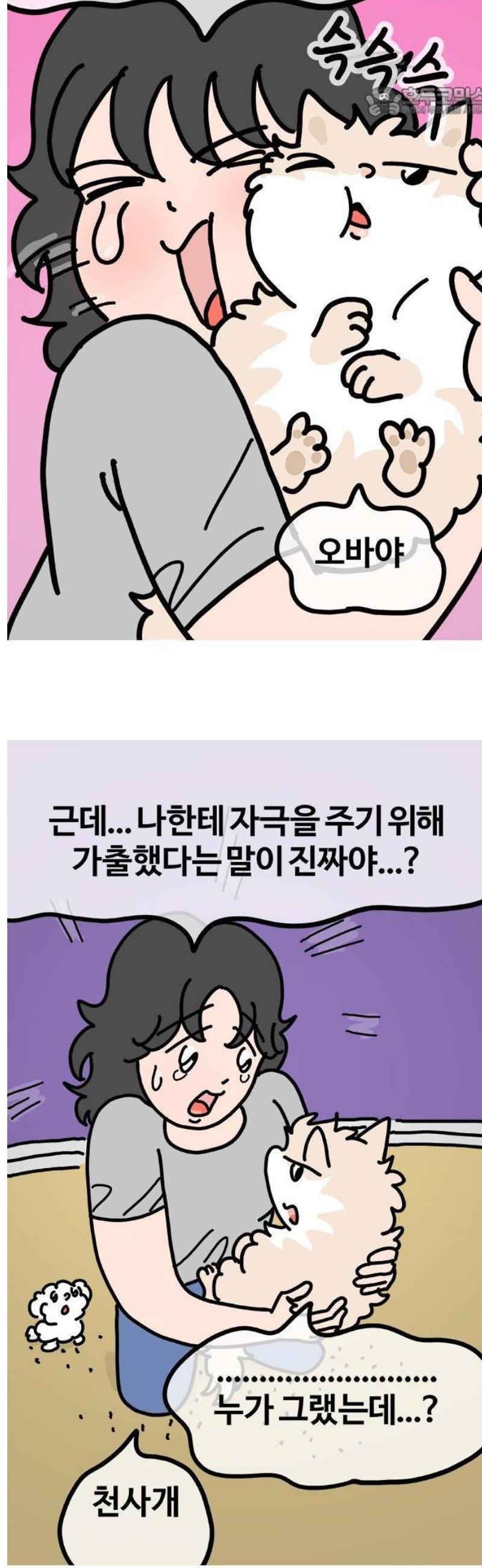 006.jpg
