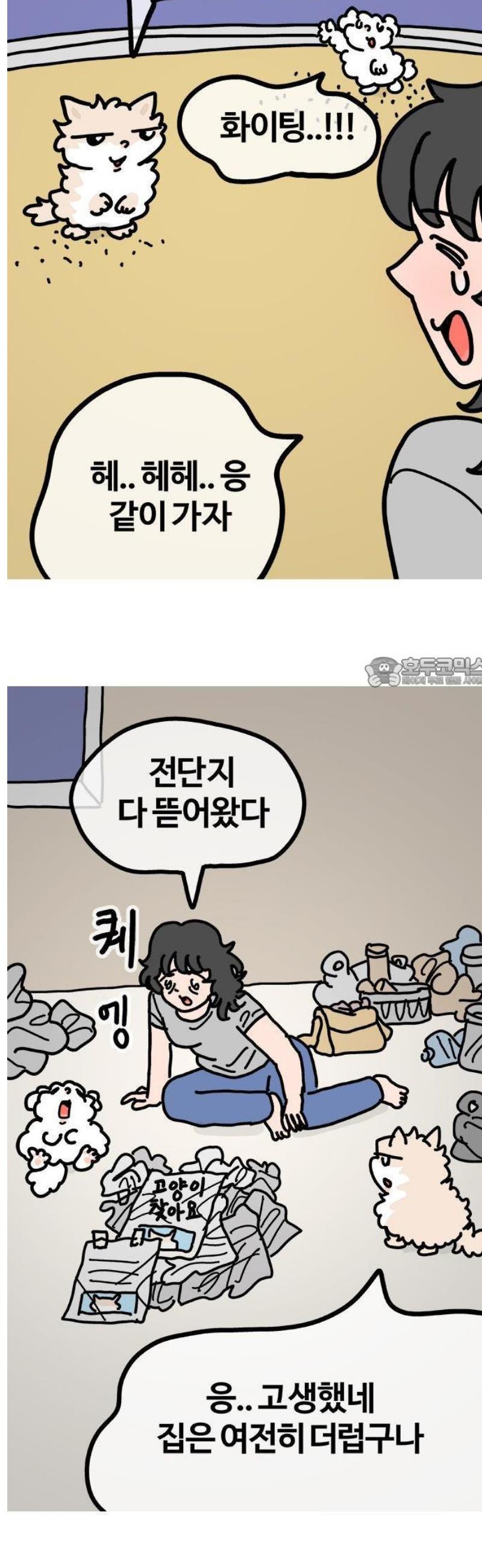 009.jpg