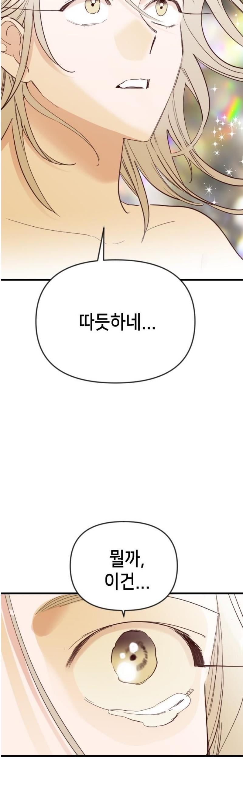 010.jpg