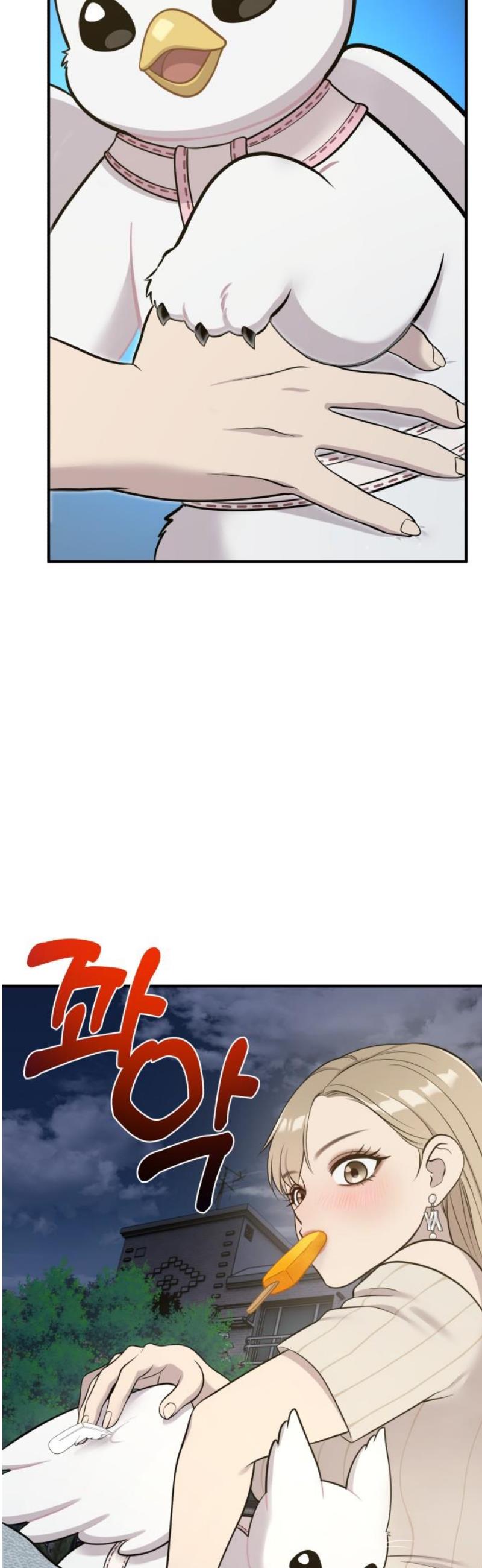 012.jpg