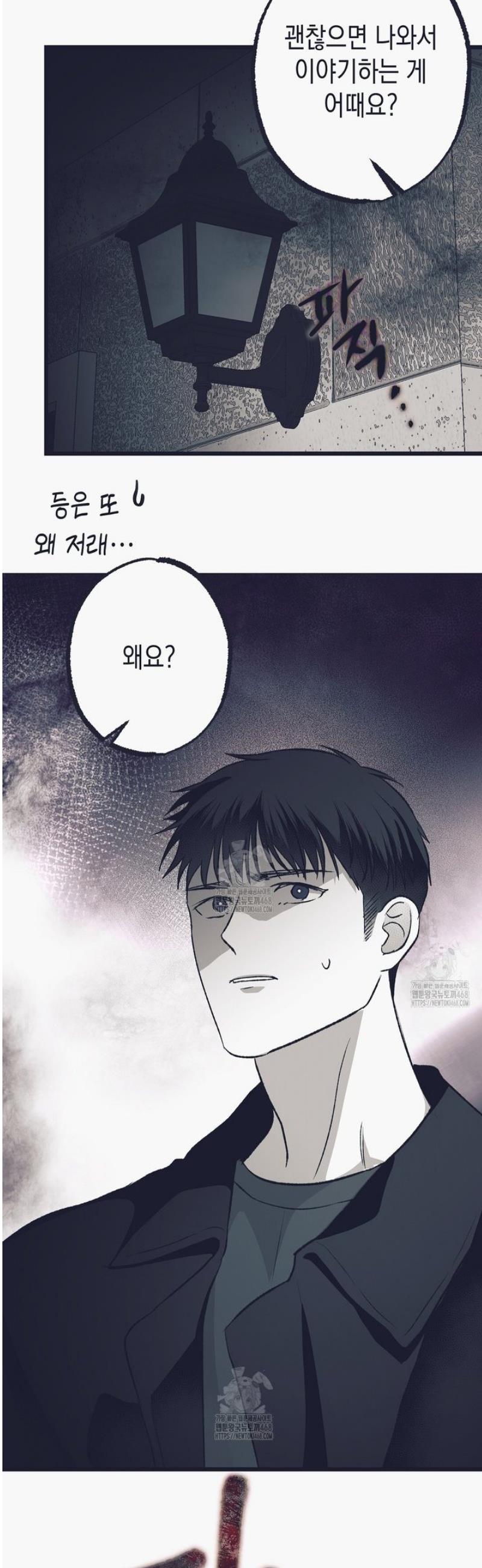 008.jpg