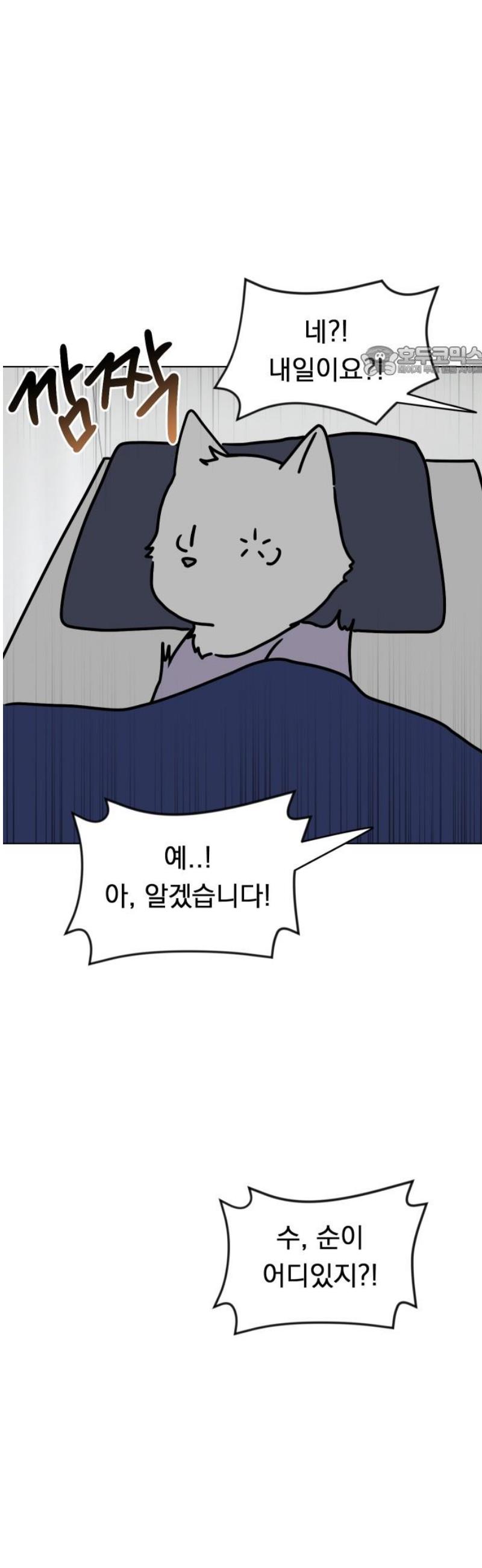 009.jpg