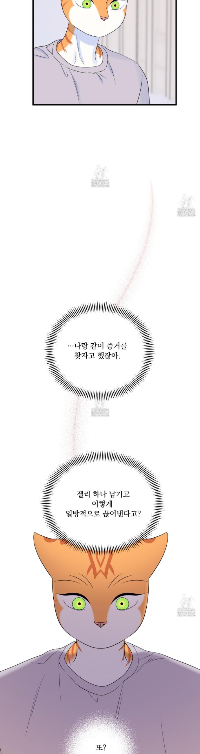 005.jpg