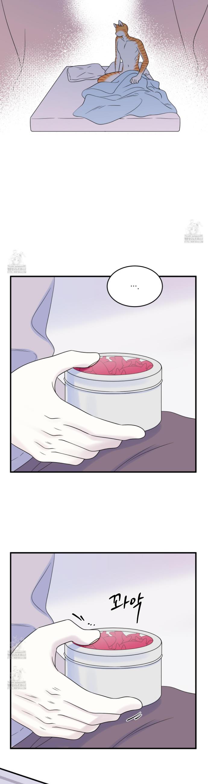 006.jpg