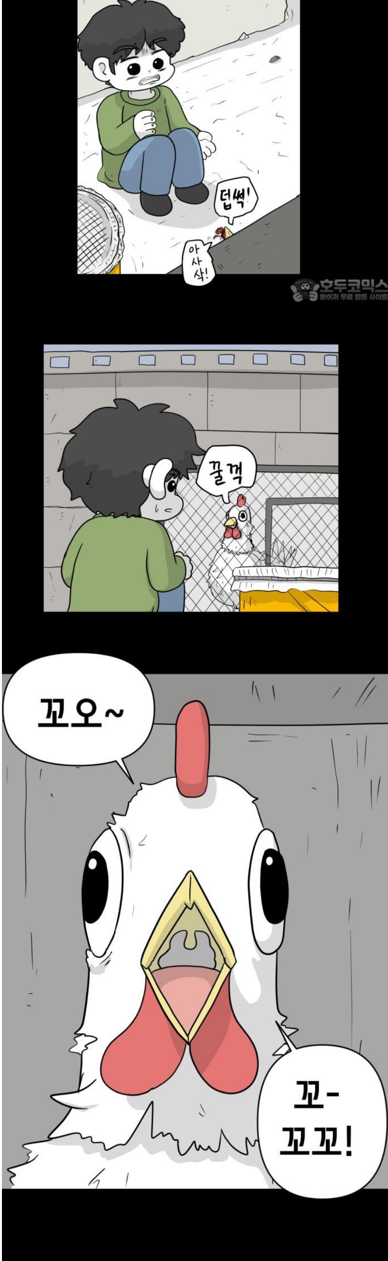 009.jpg