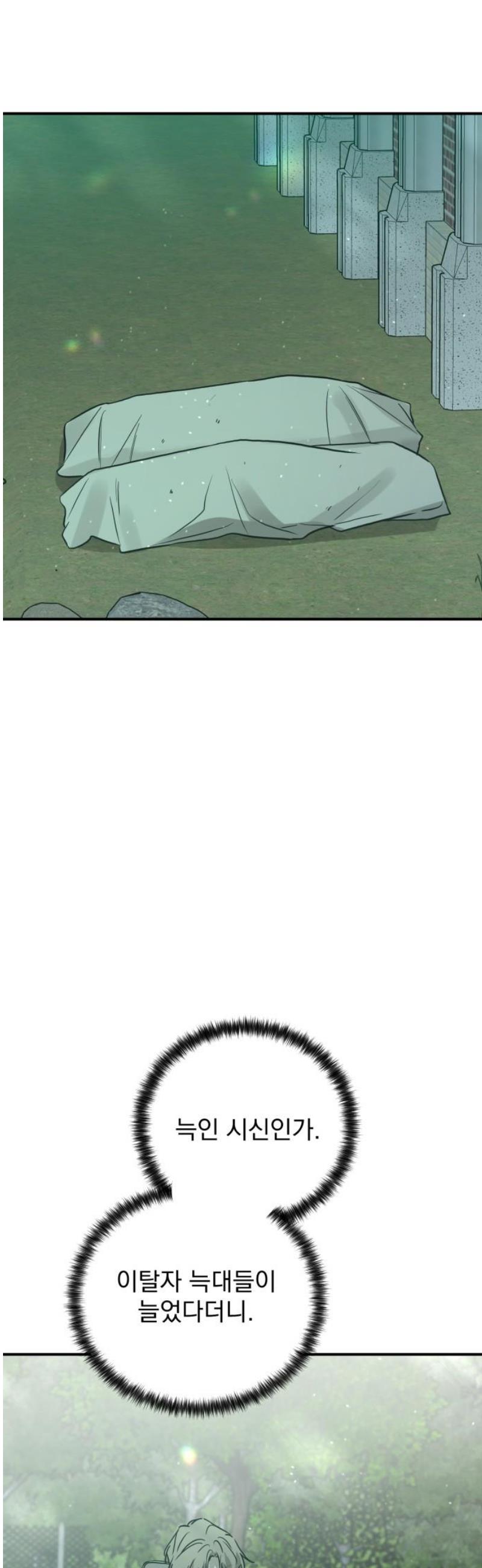 010.jpg