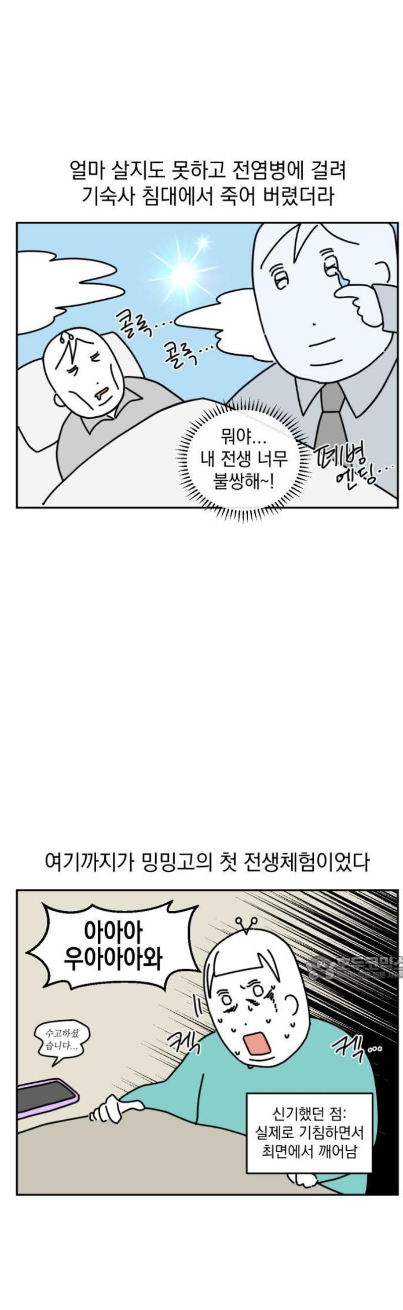 010.jpg