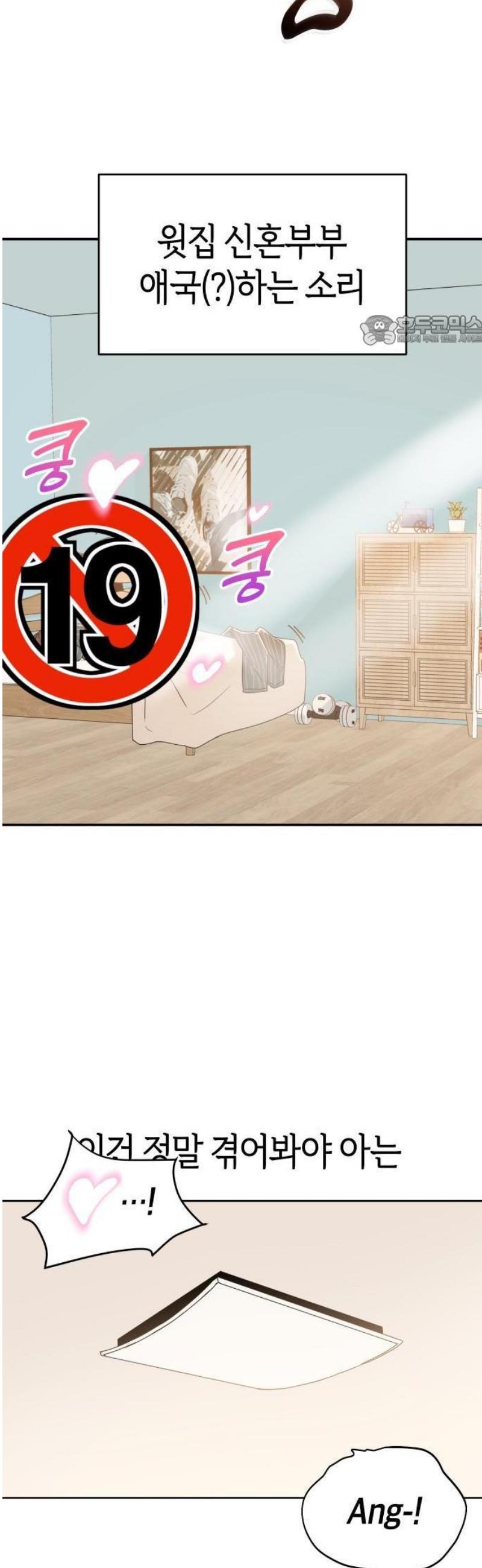 005.jpg
