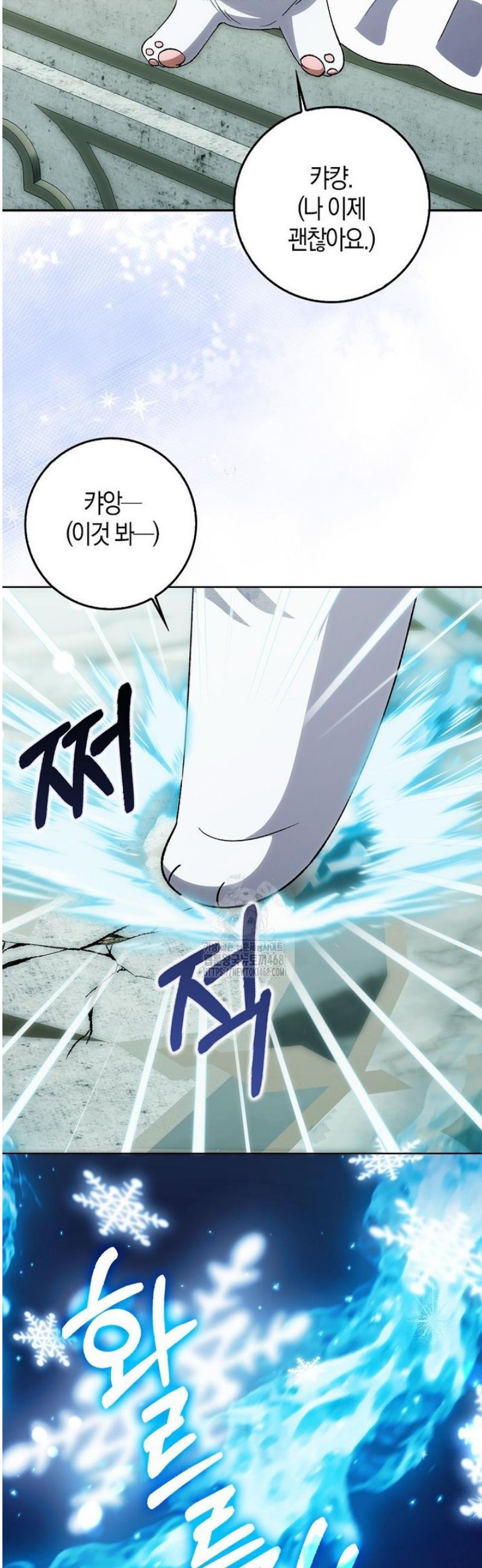 006.jpg