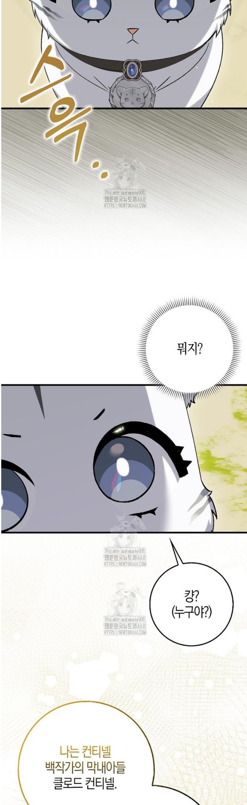 011.jpg