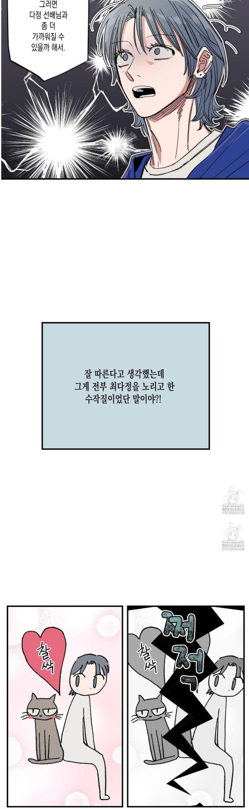 005.jpg