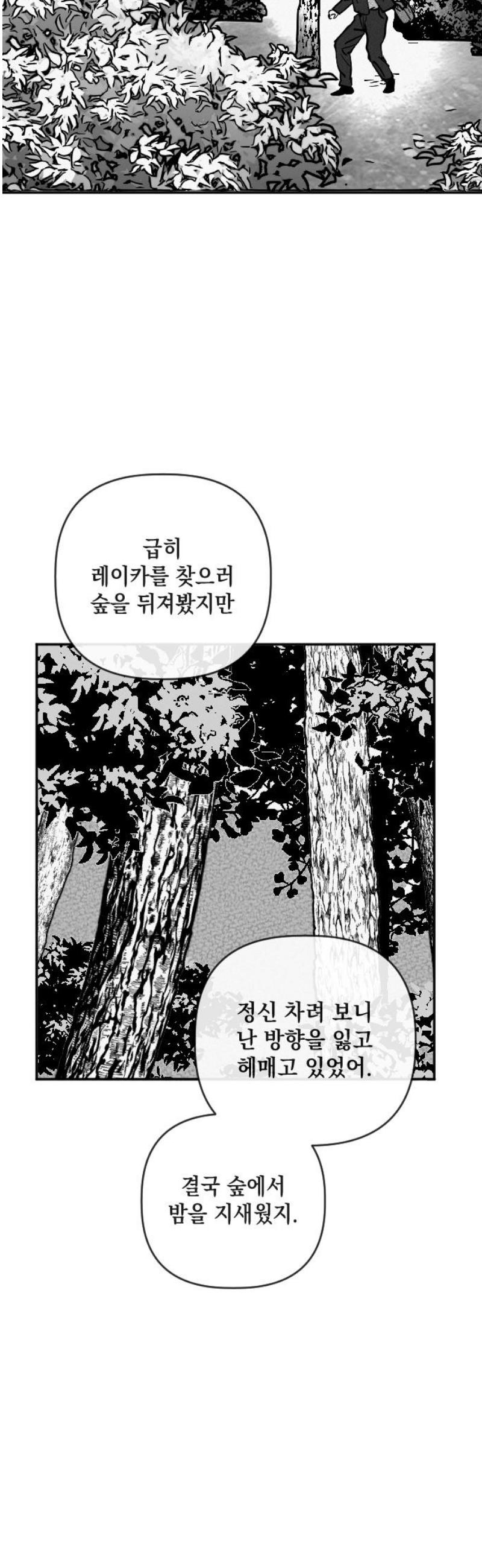 008.jpg