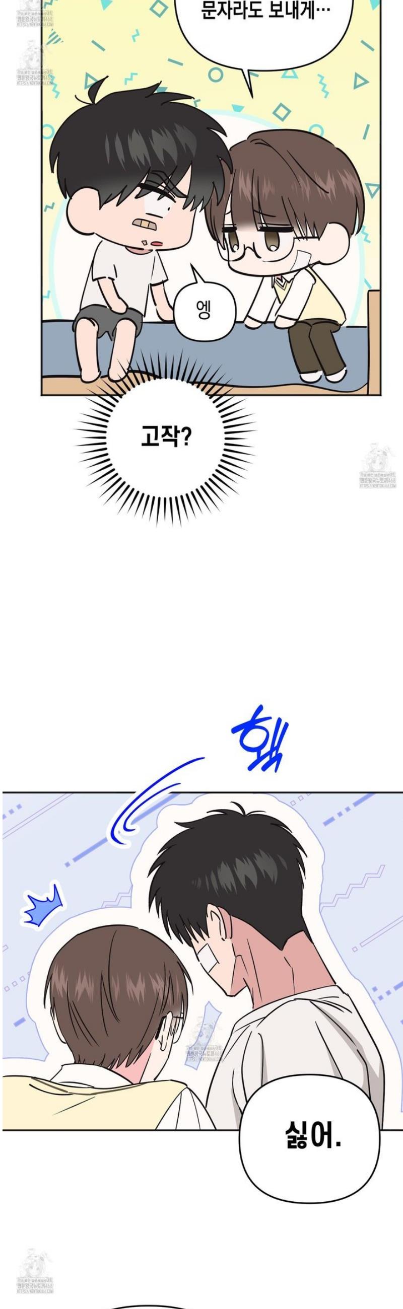 005.jpg