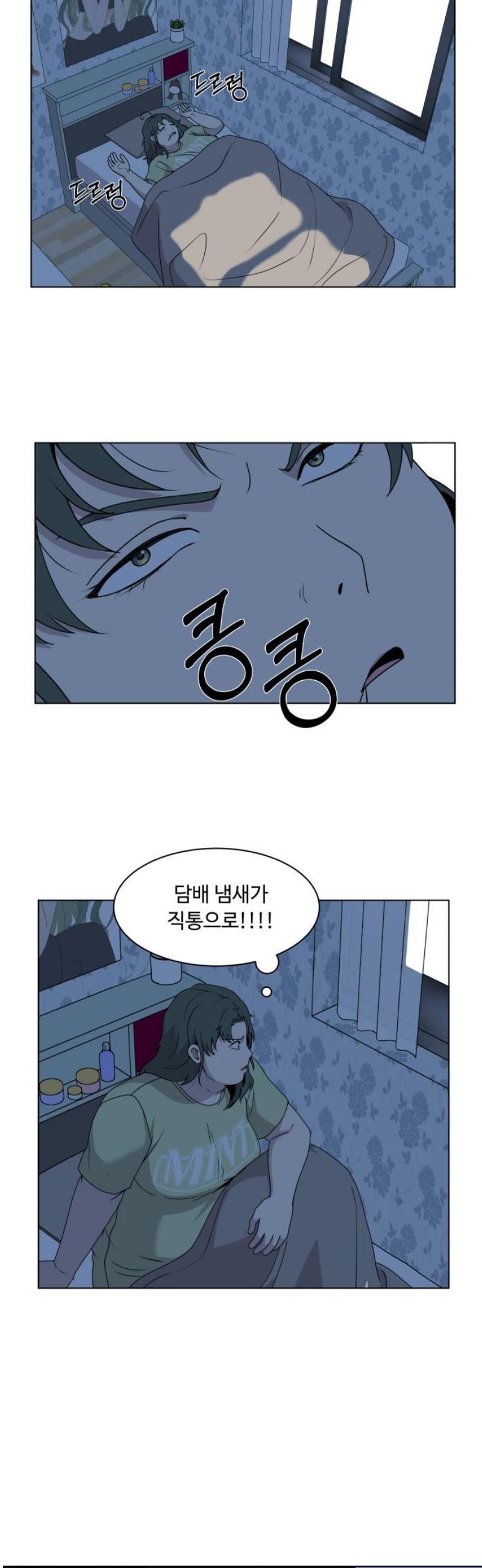 005.jpg