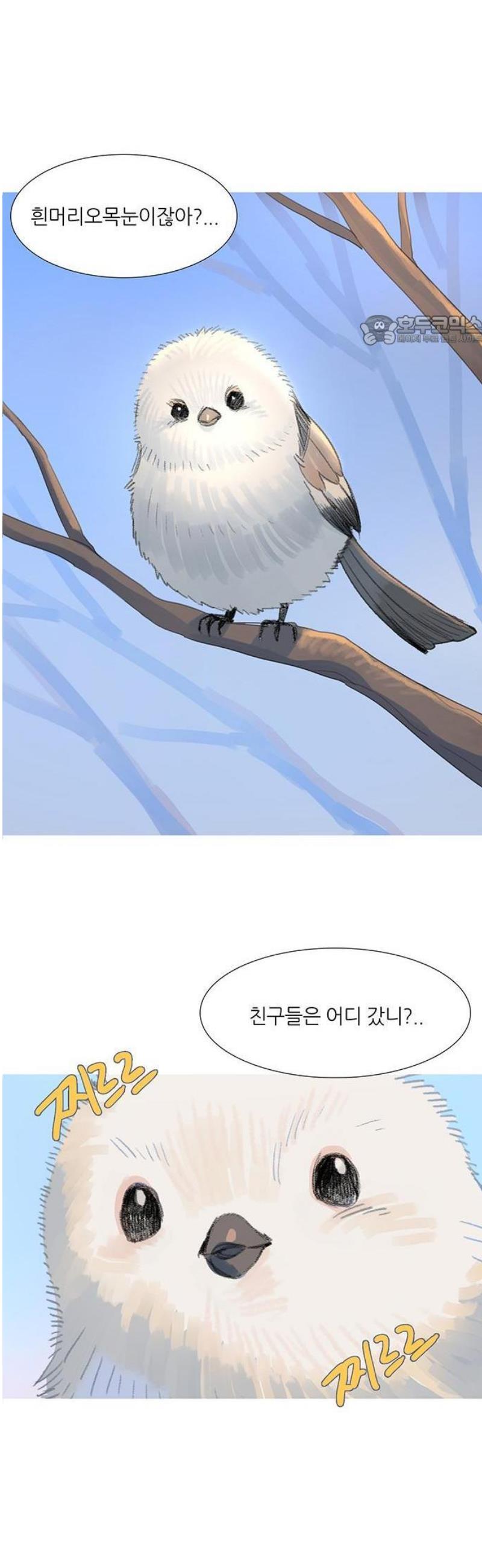 005.jpg