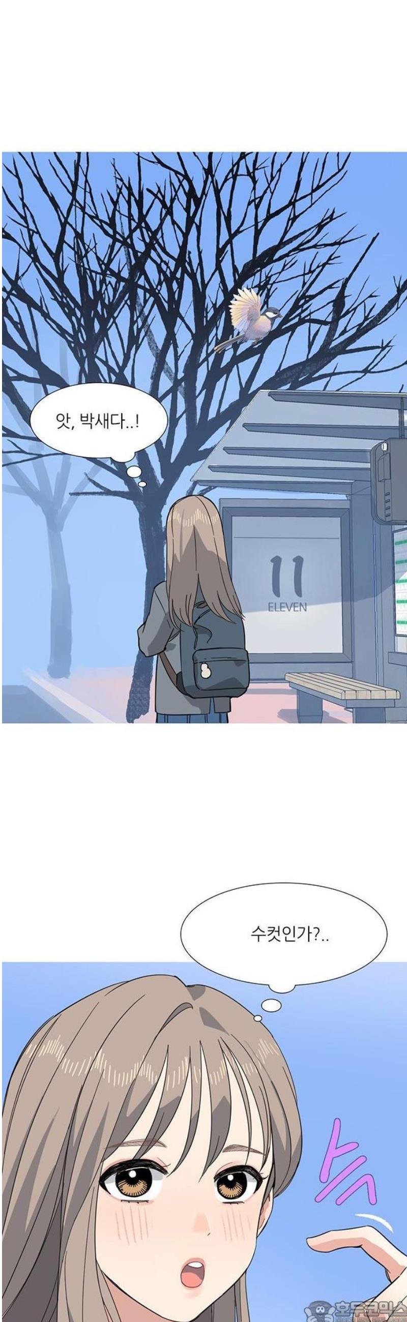 009.jpg