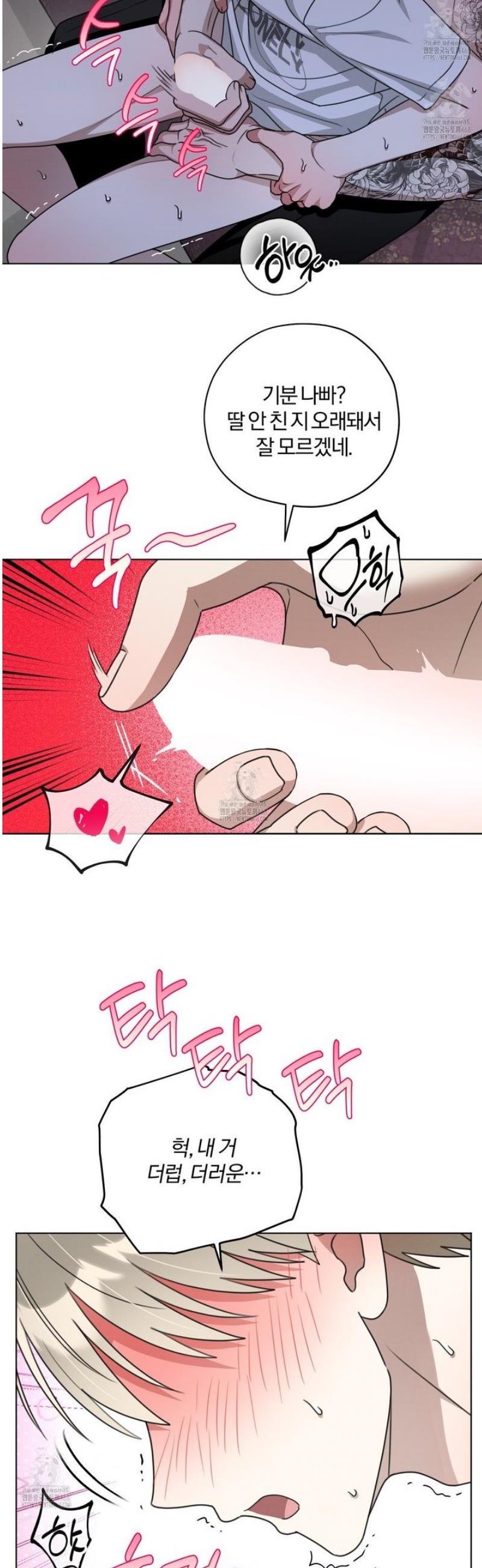 035.jpg