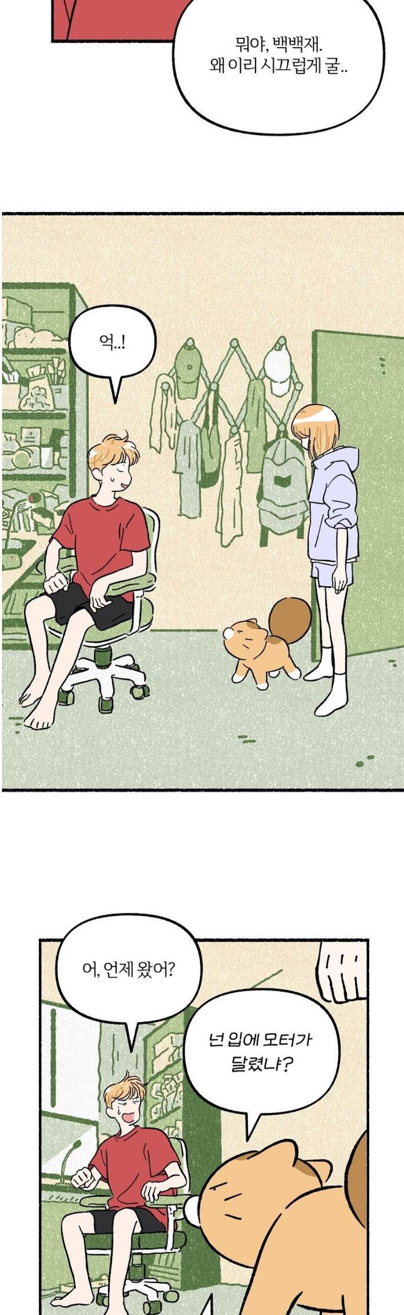 006.jpg
