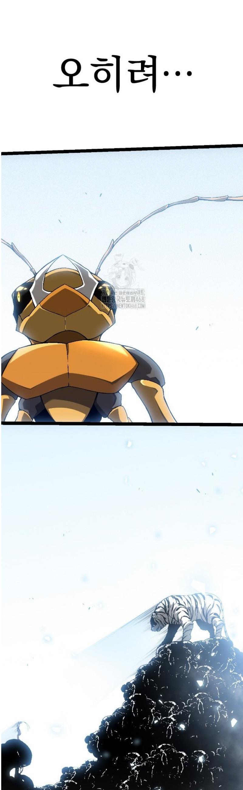 004.jpg