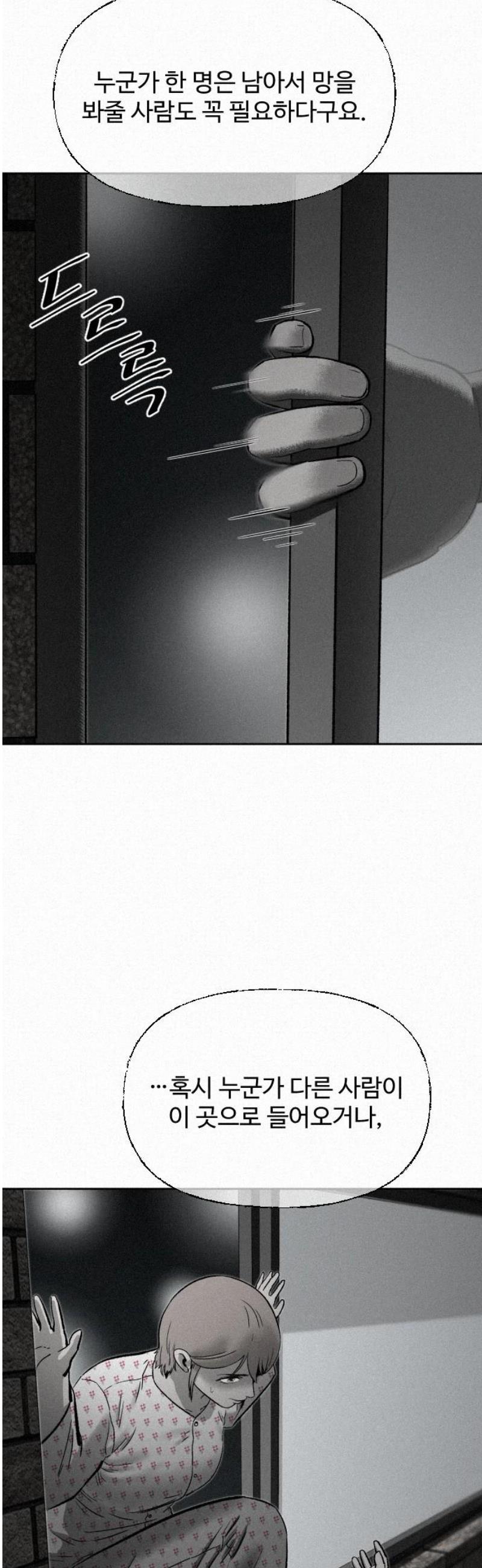 005.jpg