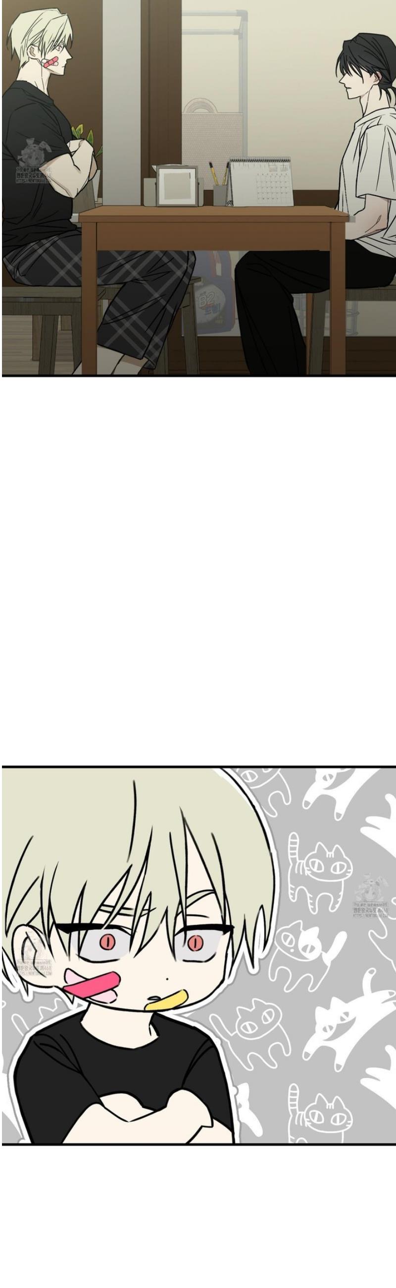 048.jpg
