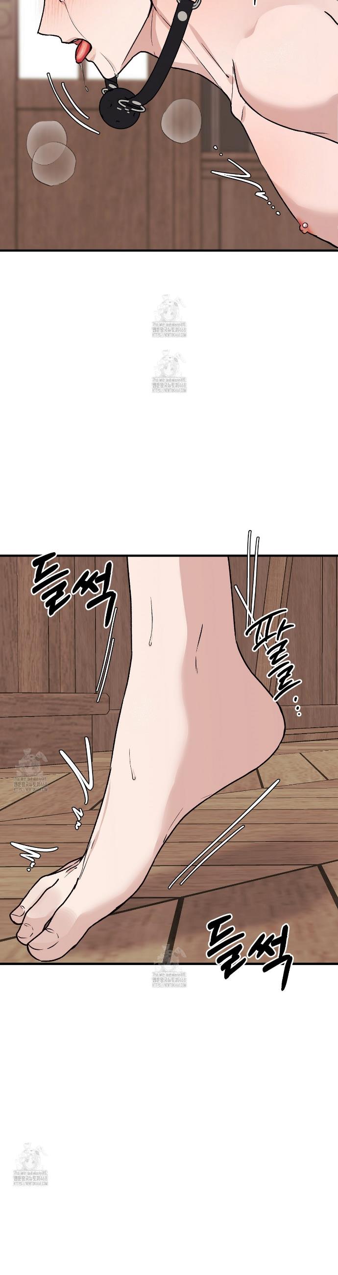 005.jpg