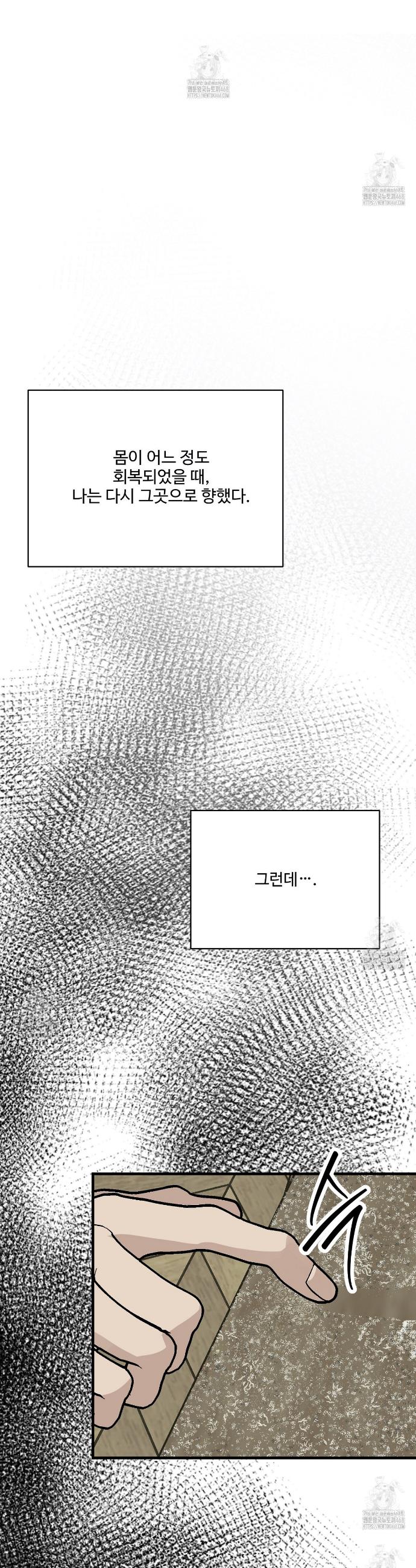 009.jpg