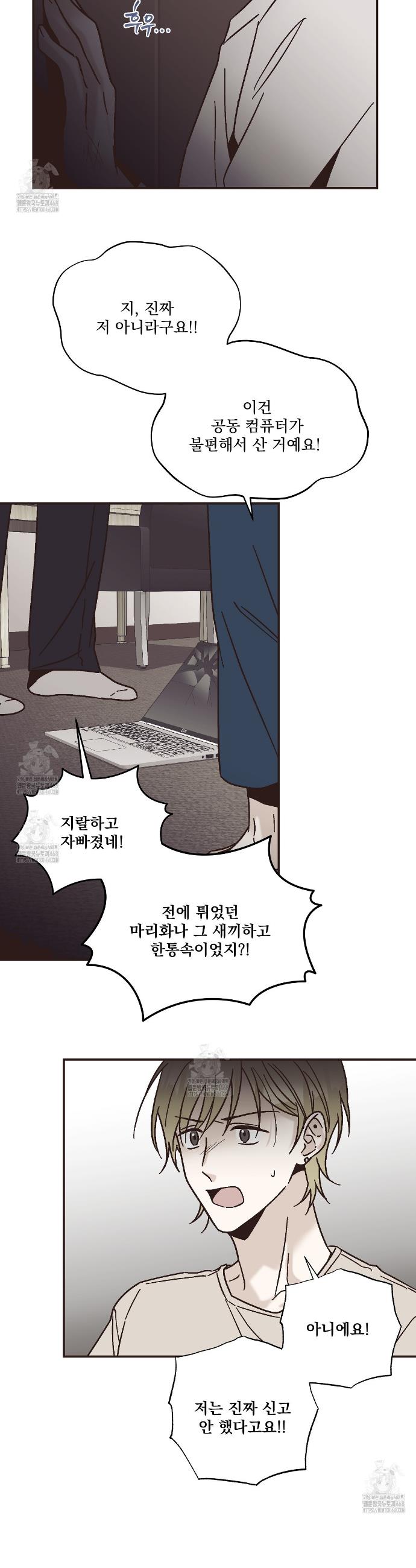 019.jpg