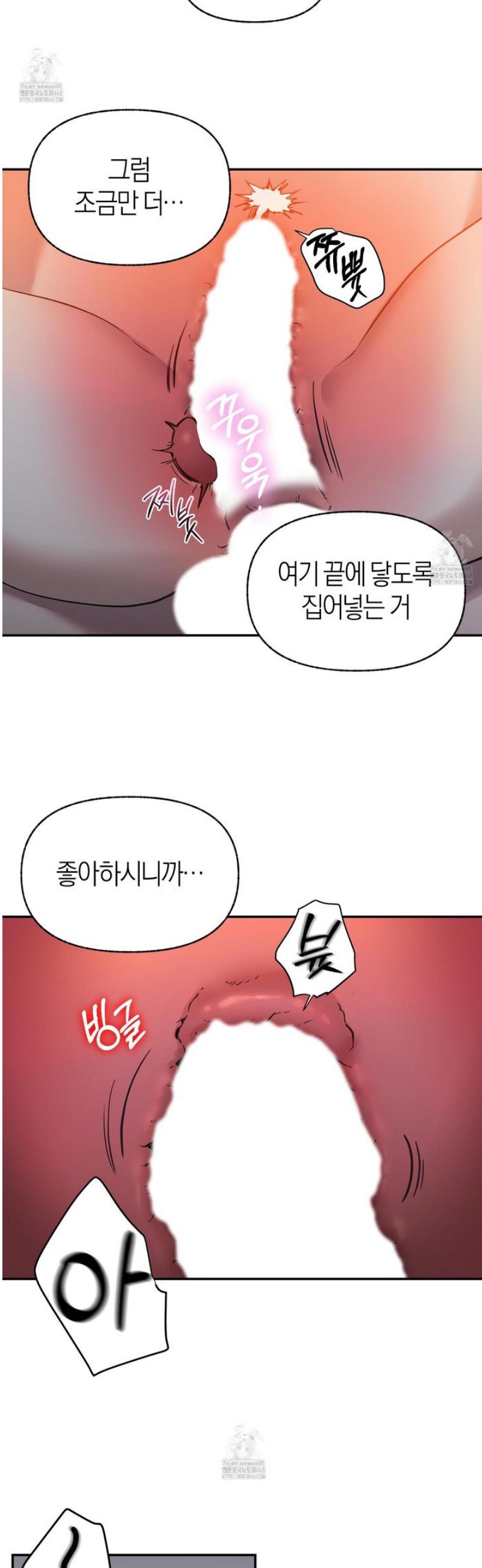 009.jpg