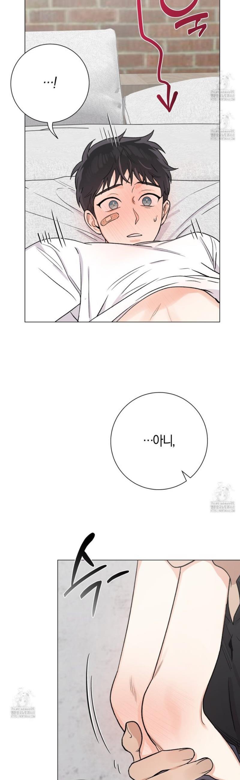 003.jpg