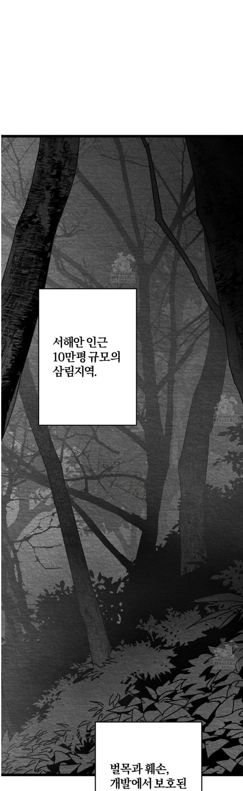 030.jpg