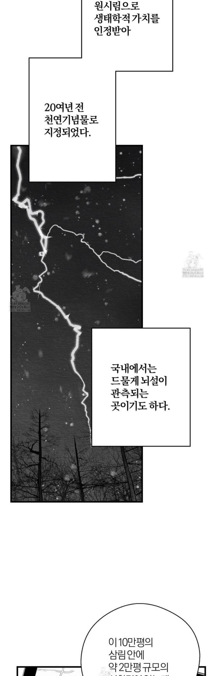 031.jpg
