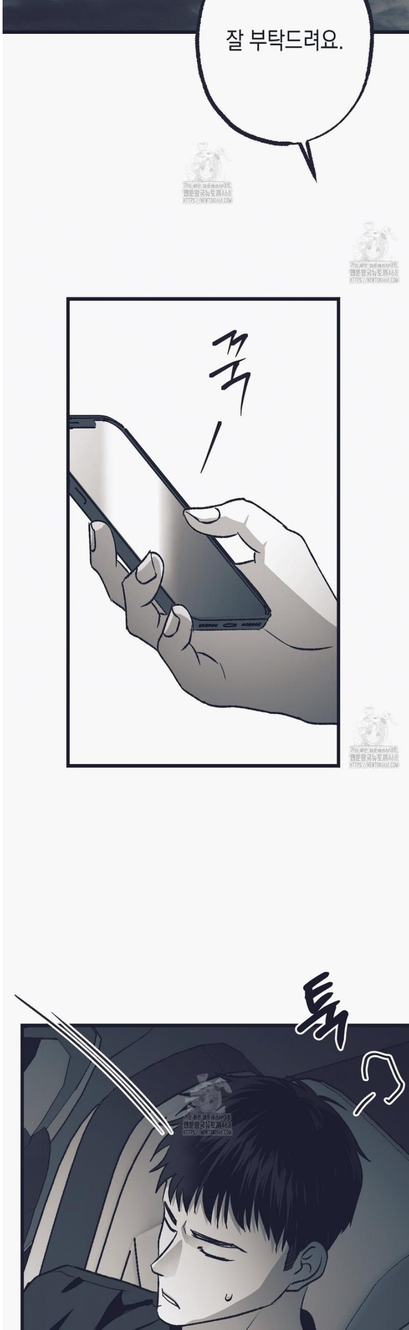 006.jpg