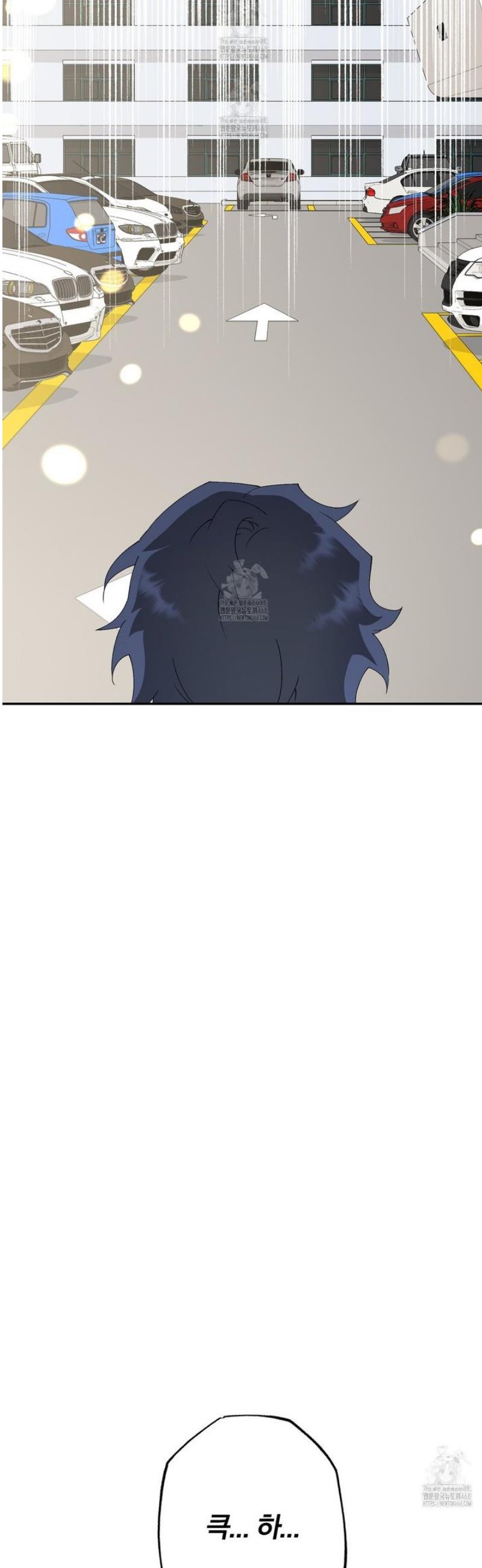 008.jpg