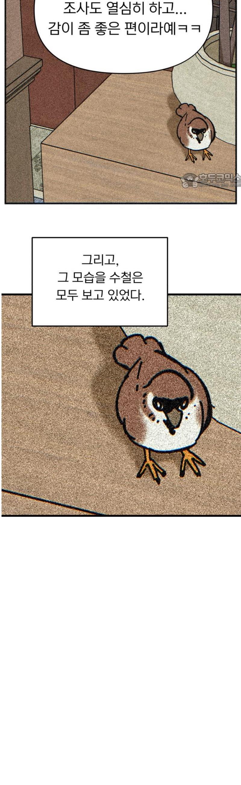 009.jpg