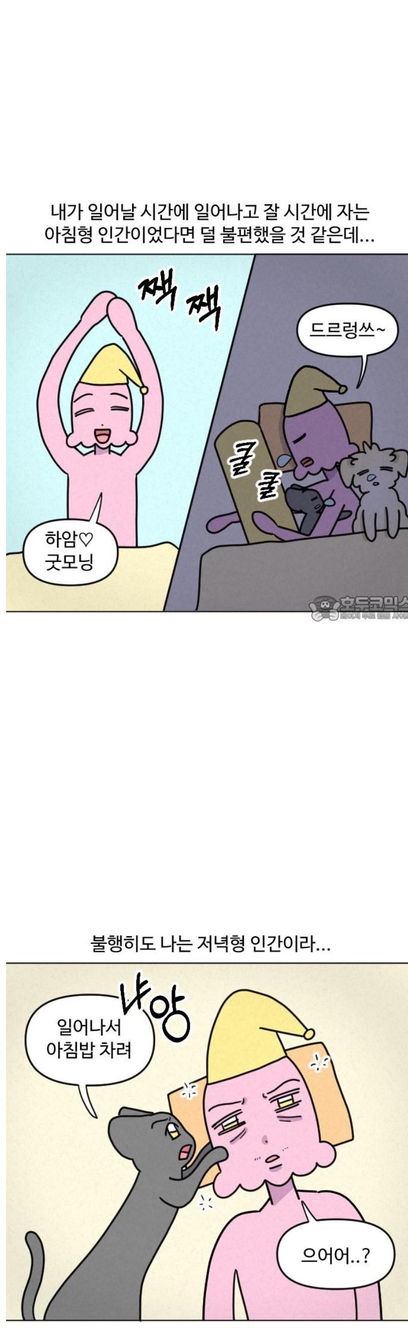 006.jpg